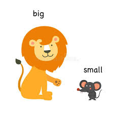 big / small